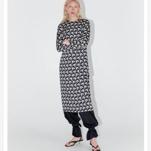 NWOT- Zara Printed Midi Dress